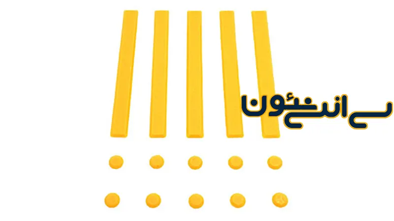 خطوط هدایت نابینایان چیست؟ راهنمای جامع 2025 برای آشنایی، متریال، نصب، مزایا و آینده این فناوری 4 خطوط نابینایان