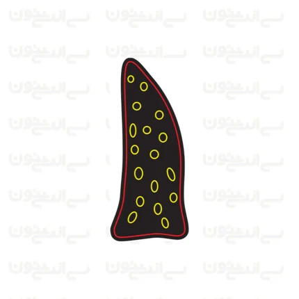 تابلو نئون طرح نون سنگک